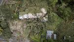 Diterjang Badai, Pohon Tumbang Timpa Rumah di California