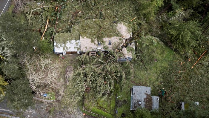 An aerial view of fallen trees enveloped a home after a severe windstorm in Boulder Creek, California, U.S., March 22, 2023. REUTERS/Matt Mills McKnight