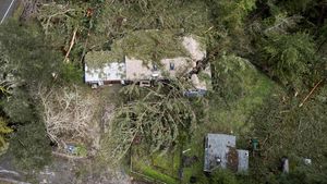 Diterjang Badai, Pohon Tumbang Timpa Rumah di California