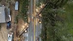 Diterjang Badai, Pohon Tumbang Timpa Rumah di California