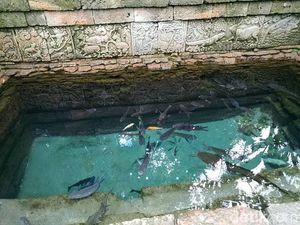 Legenda Lele Putih, Sang Penunggu Kolam Patirtan Candi Penataran Blitar