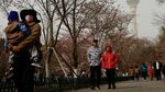Potret Beijing Saat Diterjang Badai Pasir