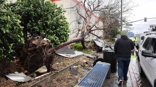 Seseorang berjalan melewati pohon yang tumbang setelah kemungkinan tornado langka mendarat dan merobek atap bangunan di pinggiran kota Los Angeles pada 22 Maret 2023 di Montebello, California. Badai Pasifik lainnya telah menghantam California dengan hujan lebat, angin kencang, dan salju. (Photo by Mario Tama/Getty Images)