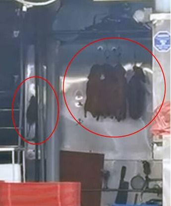 Gegara Ada Tikus di Etalase, Kedai Bebek Panggang Ini Langsung Diboikot!