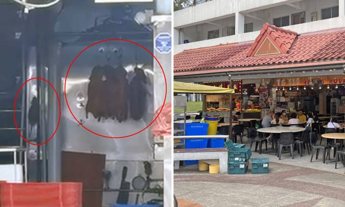 Gegara Ada Tikus di Etalase, Kedai Bebek Panggang Ini Langsung Diboikot!
