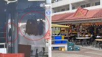 Gegara Ada Tikus di Etalase, Kedai Bebek Panggang Ini Langsung Diboikot!