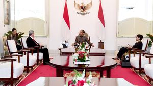 Bertemu Jokowi, Dubes Palestina Apresiasi Konsistensi Dukungan RI