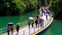 Di sekeliling jalan setapak dipenuhi pepohonan lebat
