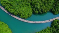 Bukan Lukisan, Intip Indahnya Jalan Terapung Diapit Lembah di China Ini