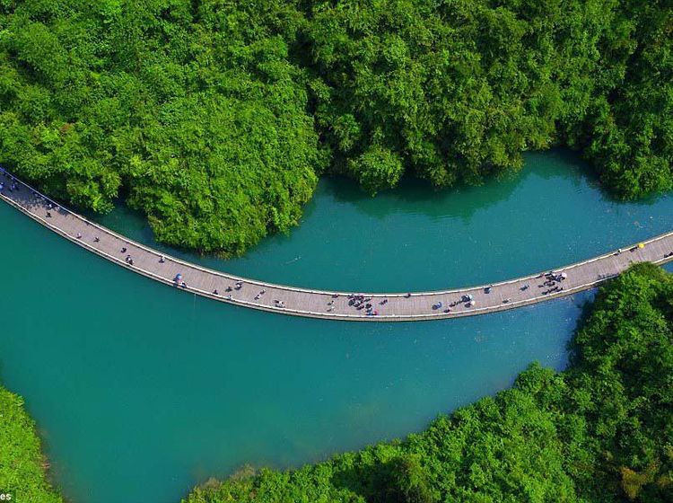 Bukan Lukisan, Intip Indahnya Jalan Terapung Diapit Lembah di China Ini