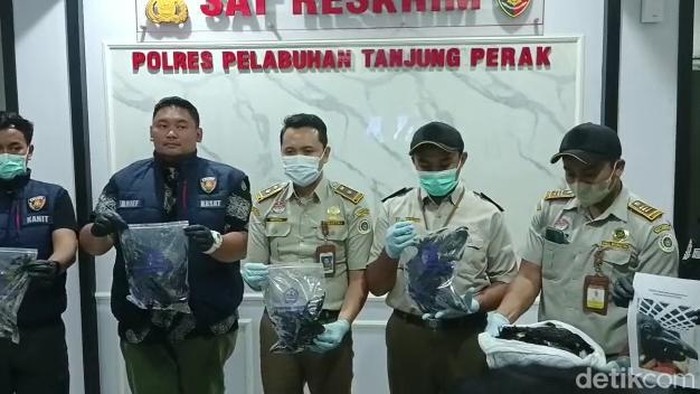 Burung gagak untuk ritual mistis yang hendak diselundupkan ke Solo melalui Pelabuhan Tanjung Perak Surabaya.