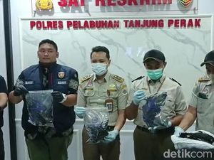 51 Gagak Gagal Diselundupkan Lewat Pelabuhan Tanjung Perak Surabaya
