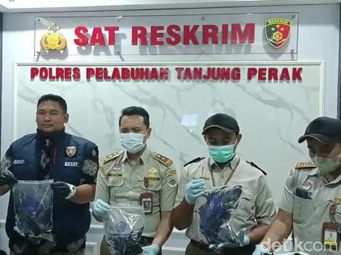 Burung gagak untuk ritual mistis yang hendak diselundupkan ke Solo melalui Pelabuhan Tanjung Perak Surabaya.