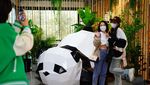 Kedai Kopi Bertema Panda di Beijing Ini Bikin Gemas Banget