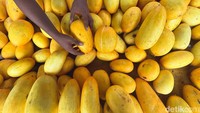 Pada musim Ramadan seperti saat ini, timun suri merupakan buah yang dicari oleh banyak orang.   