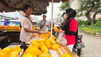 Menurut Rizki, pasokan timun suri pada tahun ini relatif aman.   