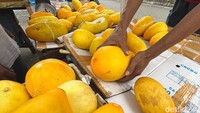 Setiap Ramadan, timun suri menjadi buah yang paling dicari masyarakat untuk dijadikan takjil atau minuman untuk berbuka puasa.  