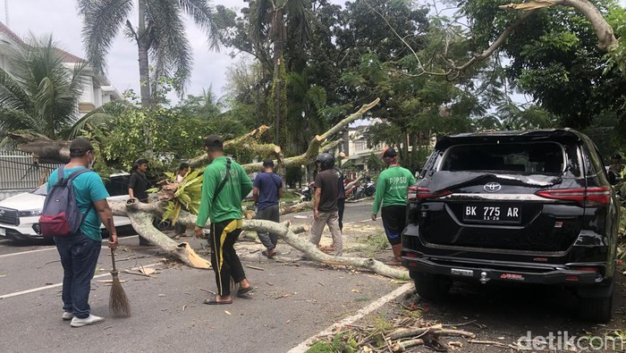 Mobil di Jalan Samanhudi, Medan tertimpa pohon tumbang. (Herlyn Agnes/detikSumut)