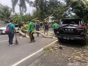 2 Mobil Pengunjung RS Stella Maris Medan Rusak Tertimpa Pohon