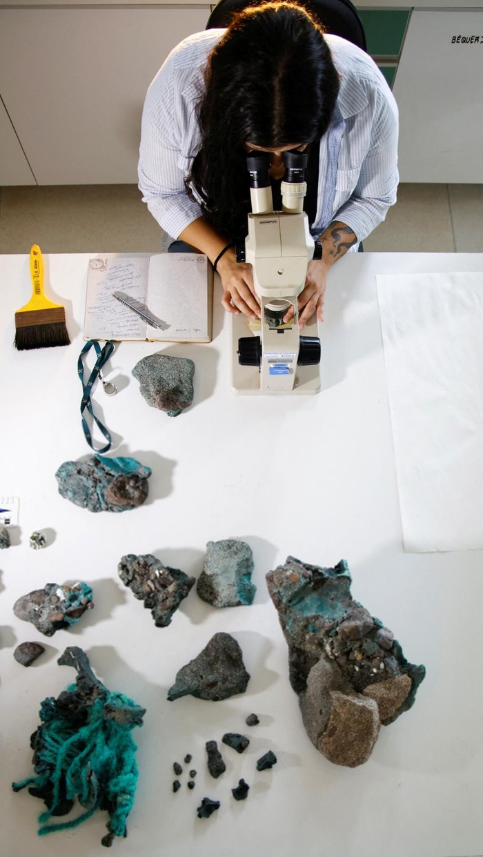 Researcher Fernanda Avelar Santos looks through a microscope at 