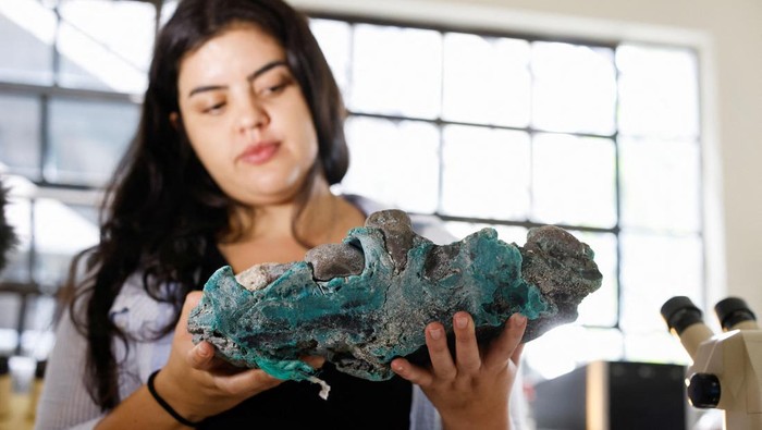 Penampakan Batuan Plastik 'Mengerikan' dari Pulau Terpencil Brasil Researcher Fernanda Avelar Santos looks through a microscope at