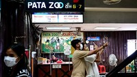 Menurut sumber berita Thailand, pemilik Bua Noi bersikeras bahwa Bua Noi dirawat dengan baik dan dia tidak mengalami tekanan fisik atau mental. (Manan Vatsyayana/AFP/ Getty Images)