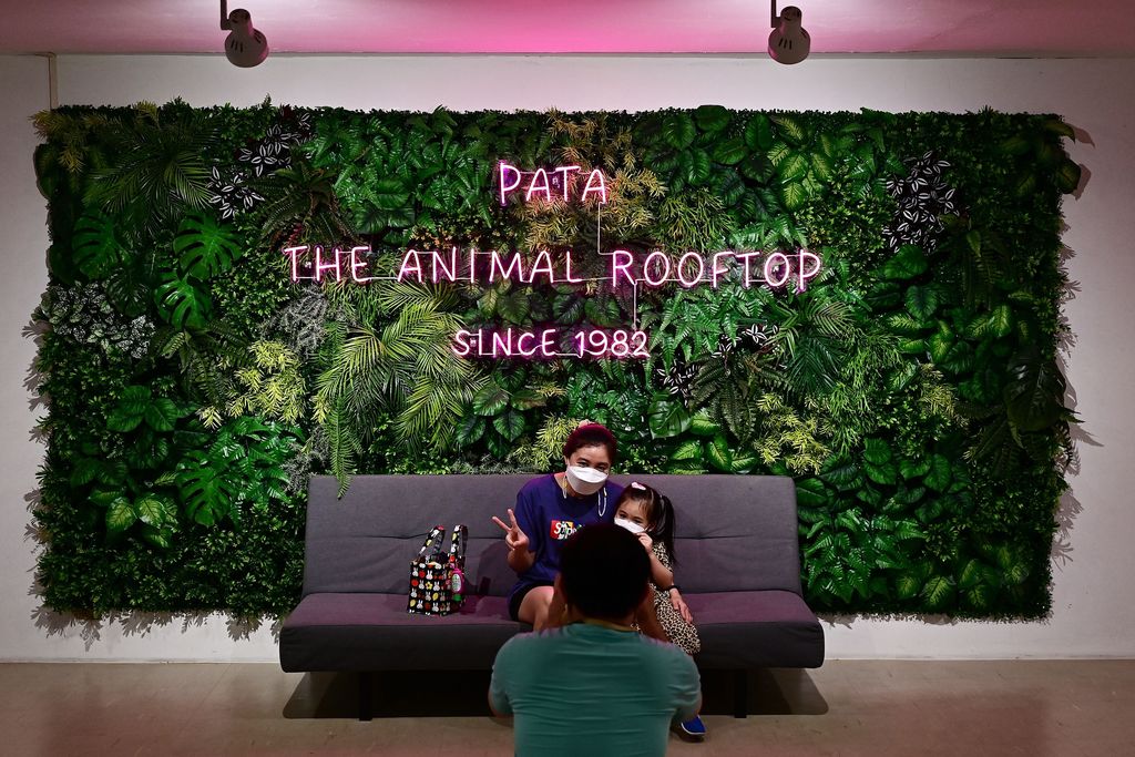 This photograph taken on March 19, 2023 shows visitors standing in front of the cage of Thailands only gorilla, a female named 'Bua Noi' or Little Lotus, at the Pata Zoo in Bangkok. - Seven floors above a shopfloor hawking cheap perfume and nylon underwear, Thailand's 