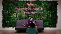 Pengunjung berfoto di pintu masuk Kebun Binatang Pata di Bangkok, Thailand, Minggu (19/3/2023). (Manan Vatsyayana/AFP/ Getty Images)