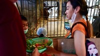 Dia adalah salah satu daya tarik utama dari kebun binatang yang aneh, di dalam pusat perbelanjaan tertua di Bangkok, Pata Pinklao Department Store. (Manan Vatsyayana/AFP/ Getty Images)