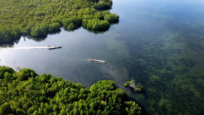 ALAT TRANSPORTASI UTAMA SUKU BAJAU Warga Suku Bajau menggunakan jasa ojek perahu di perkampungan Bajau Torosiaje, Kabupaten Pohuwato, Gorontalo, Sabtu (25/3/2023). Masyarakat Bajau menggunakan jasa ojek perahu untuk beraktivitas dari daratan menuju perkampungan yang berada di atas laut atau sebaliknya dengan biaya Rp5.000 sekali naik. ANTARA FOTO/Adiwinata Solihin/rwa.