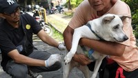Vaksinasi merupakan salah satu cara yang efektif untuk mencegah rabies di wilayah Denpasar.