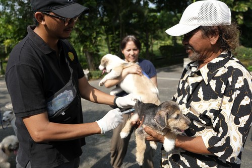 Dokter hewan menyuntikkan vaksin anti rabies pada seekor anjing saat pelayanan vaksinasi rabies di Denpasar, Bali, Sabtu (25/3/2023). Berdasarkan data dari Dinas Pertanian Kota Denpasar mencatat estimasi anjing di Kota Denpasar sebanyak 82 ribu ekor dan yang sudah divaksin sebanyak 2.800 ekor atau 3,4 persen. ANTARA FOTO/Nyoman Hendra Wibowo/rwa.