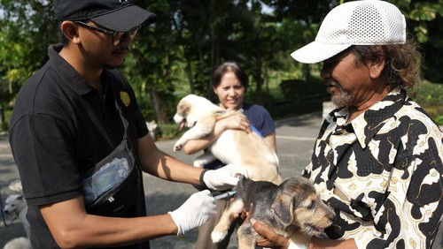 Dokter hewan menyuntikkan vaksin anti rabies pada seekor anjing saat pelayanan vaksinasi rabies di Denpasar, Bali, Sabtu (25/3/2023). Berdasarkan data dari Dinas Pertanian Kota Denpasar mencatat estimasi anjing di Kota Denpasar sebanyak 82 ribu ekor dan yang sudah divaksin sebanyak 2.800 ekor atau 3,4 persen. ANTARA FOTO/Nyoman Hendra Wibowo/rwa.