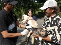 Vaksinasi Rabies Gencar Dilakukan di Denpasar