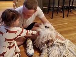 Bahagianya Zuckerberg dan Istri Sambut Kelahiran Anak Ketiga