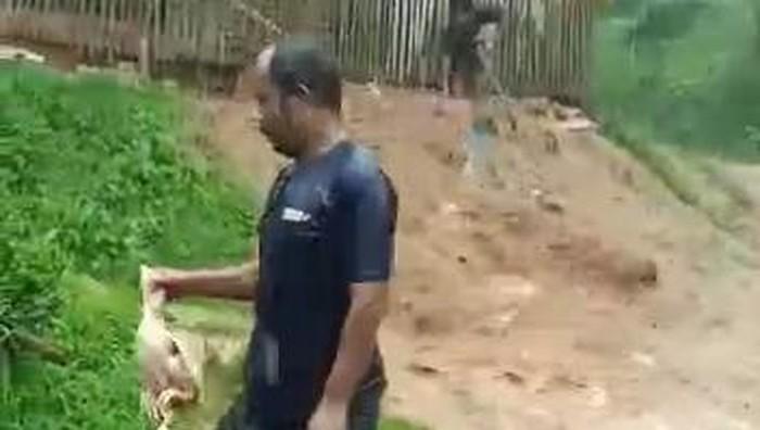 Ayam ternak mati terseret banjir bandang di Cianjur, Minggu (26/3/2023).