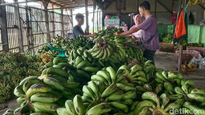 Lapak buah milik Casmadi yang sukses menjual pisang di Indramayu