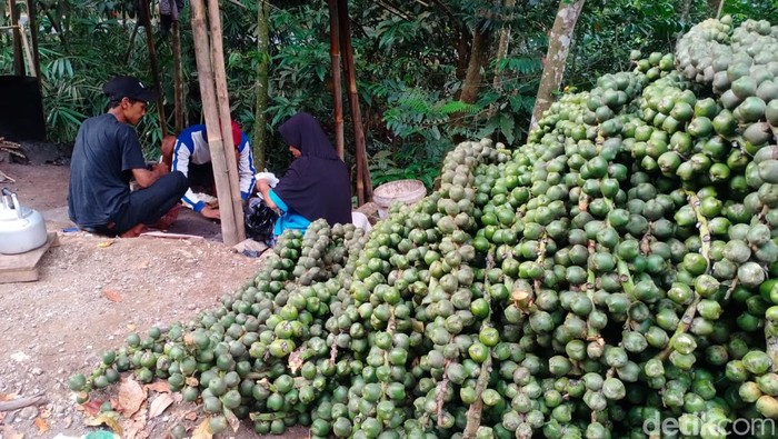 Perajin kolang kaling musiman di jalur Tasikmalaya Garut