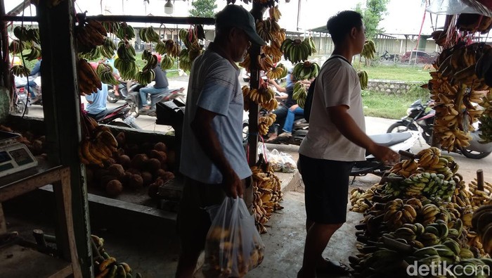 Pisang bangkawulu di Indramayu