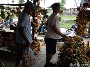 Pisang Bangkawulu, Buah Primadona Warga Indramayu Saat Ramadan