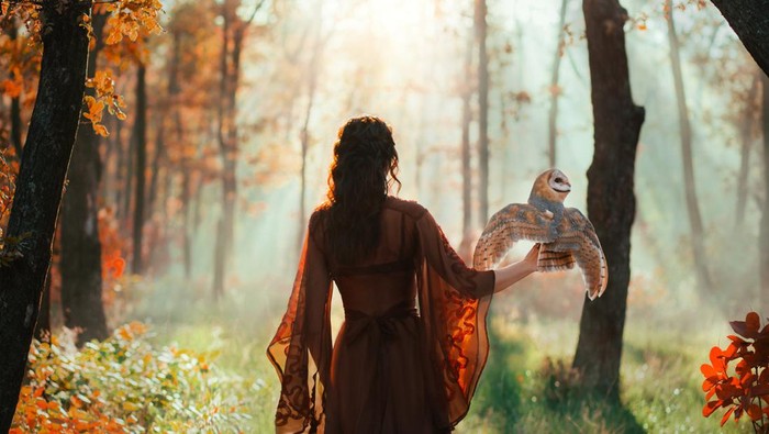 Dark mysterious blurred silhouette of a woman with an owl that sits on her arm and flaps her wings. Fantasy photography a girl fairy walks in misty dense autumn forest. Back rear view. Red silk dress