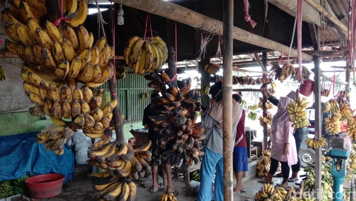 Sentra pisang di Pasar Jatibarang, Indramayu Sentra pisang di Pasar Jatibarang, Indramayu