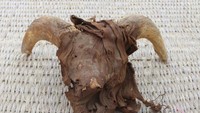 Menurut Kementerian Pariwisata dan Purbakala daerah setempat, bahwa mumi domba betina, anjing, kambing liar, sapi, kijang, dan luwak ditemukan di kuil bersama dengan kepala domba jantan, yang dianggap sebagai persembahan nazar.