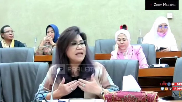 Anggota Komisi VI fraksi PDI Perjuangan Evita Nursanty (tangkapan layar)