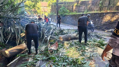 BPBD mencatat angka kebencanaan turun pada Maret 2023 menjadi 109 dari 245 pada Februari 2023. Bencana terbanyak terjadi karena longsor.