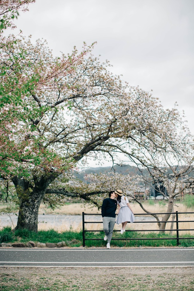 Keindahan bunga Sakura yang bermekaran menambah romantisme dalam foto prewedding di alam terbuka. Foto: Weddingku/Kairos Works