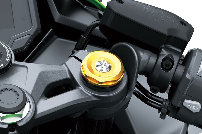Unit Ix Rp Kawasaki Ninja ZX-4RR: Harga Rp 239,9 Juta, Cuma Ada 40 Unit