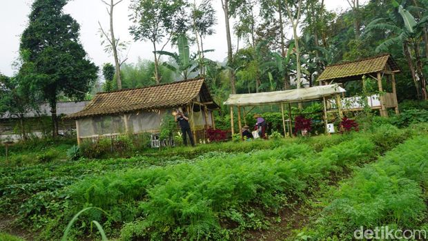 Kegiatan emak-emak petani organik menunggu waktu berbuka puasa