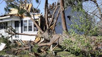 Tornado yang disertai badai petir dan hujan deras itu melintasi Mississippi sejak Jumat malam. Badai itu melintas sejauh lebih dari 60 kilometer. AP Photo/Jim Lytle.