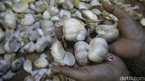 Harga bawang putih mulai naik di awal bulan puasa. Untuk antisipasi kenaikan yang makin tinggi, pemerintah impor 80.000 ton bawang putih dari China dan India.